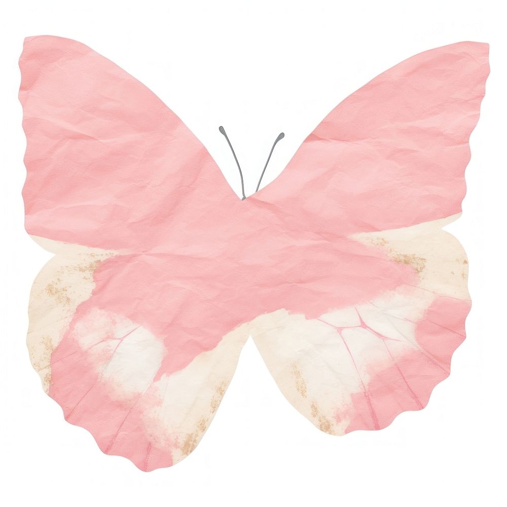 Butterfly shape ripped paper blossom flower diaper.