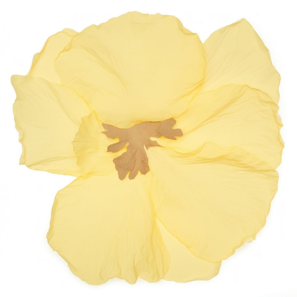 Flower shape ripped paper hibiscus daffodil blossom.