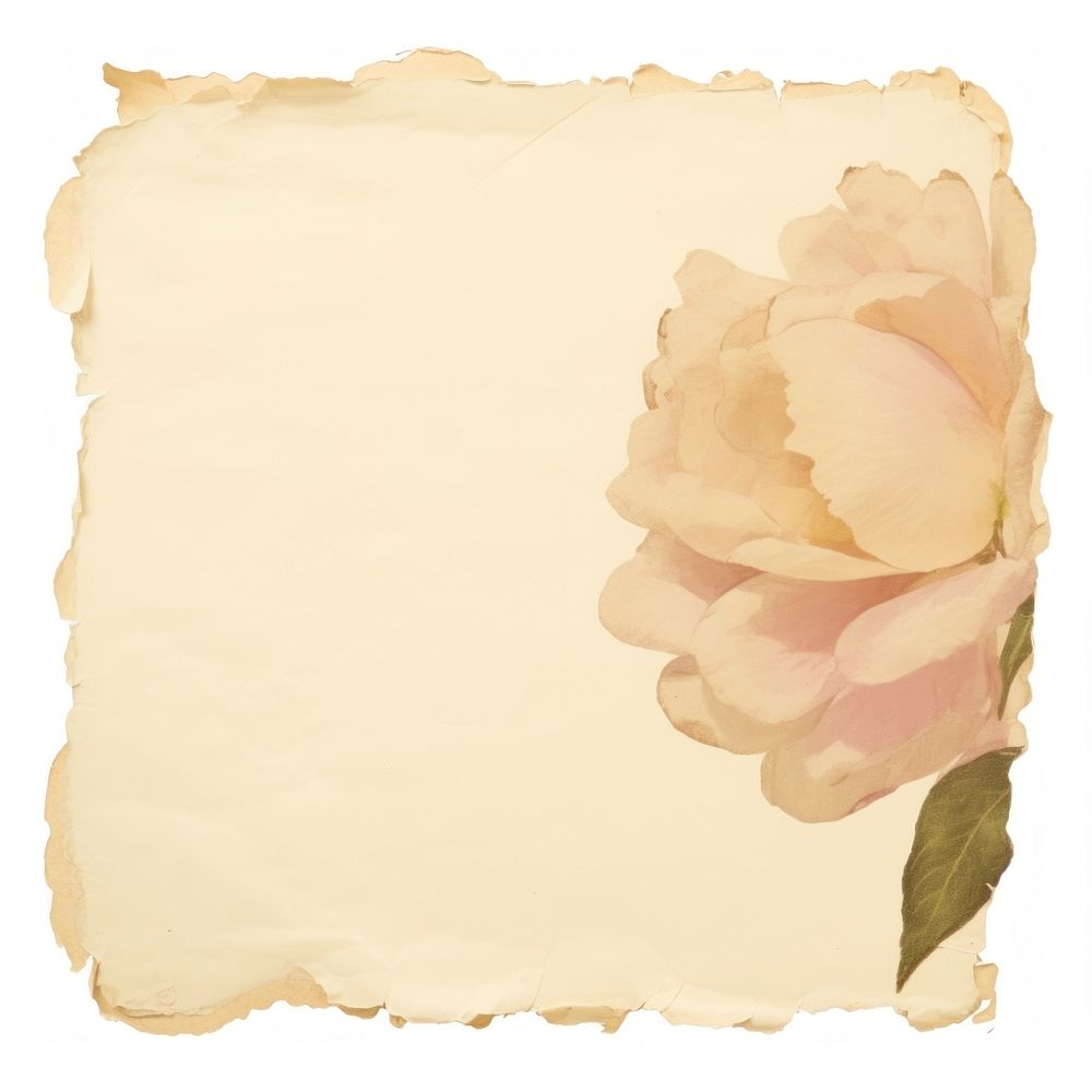Flower ripped paper text painting blossom.