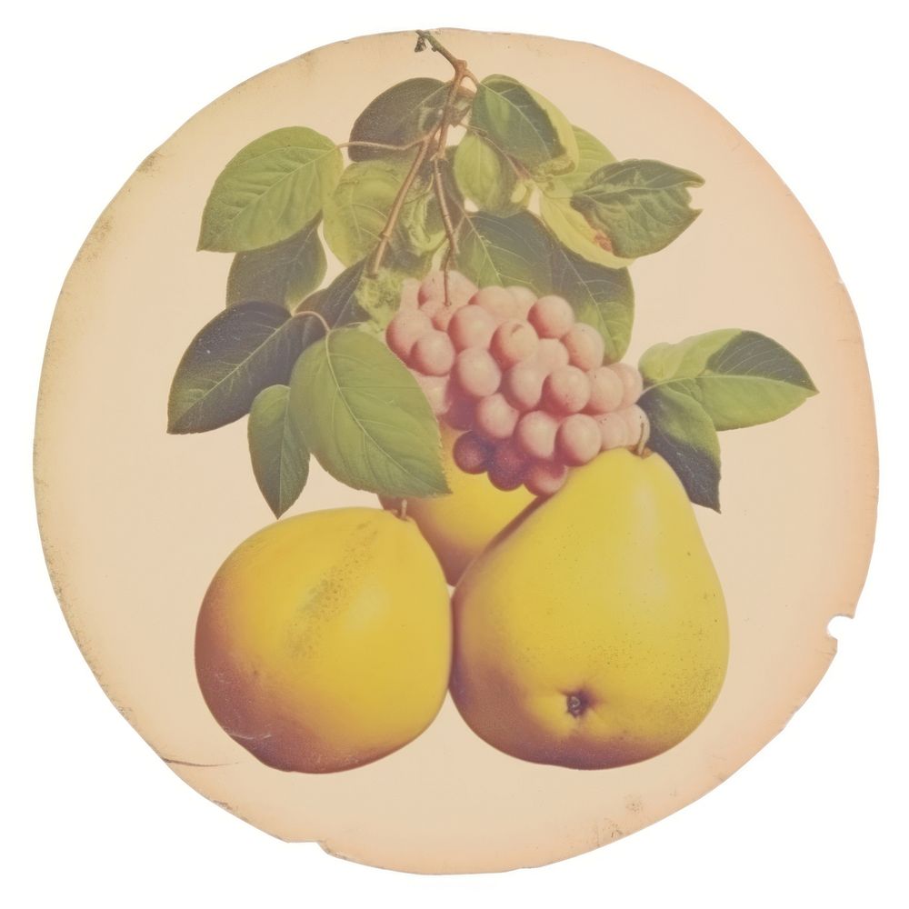 Fruit sticker grapefruit produce plant.