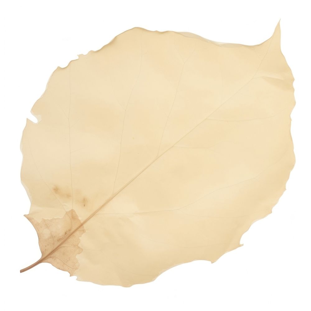 Leaf shape ripped paper diaper plant tree.