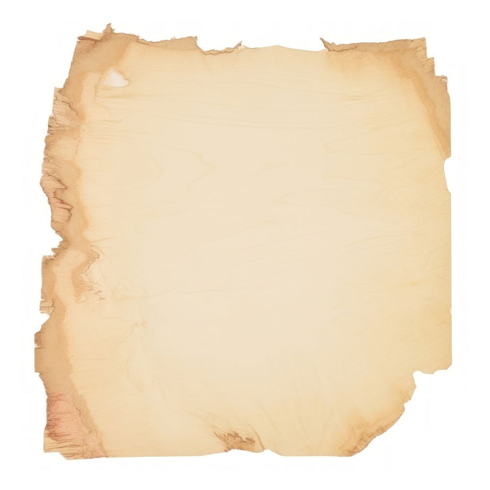 Light wood ripped paper text document diaper.