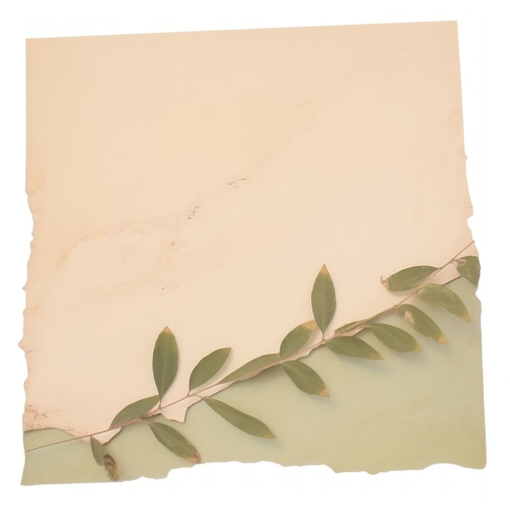 Nature picture ripped paper text painting plant.