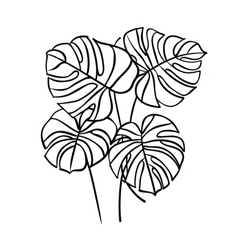 Monstera illustrated chandelier drawing.