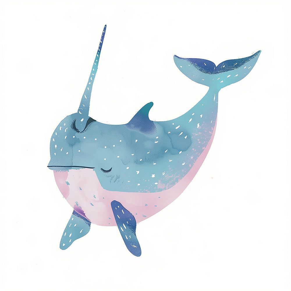 Cute narwhal animal illustration