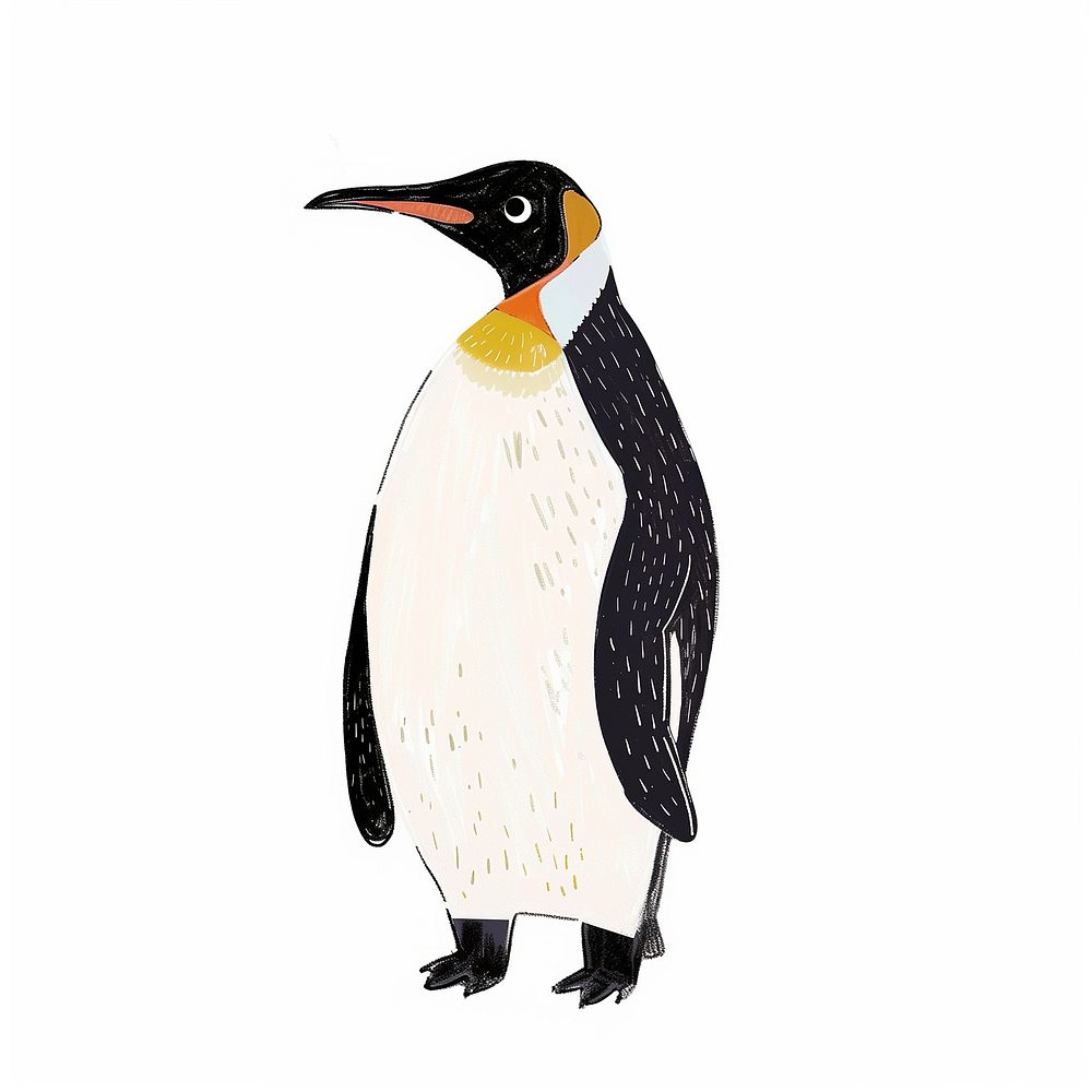 Cute penguin animal illustration
