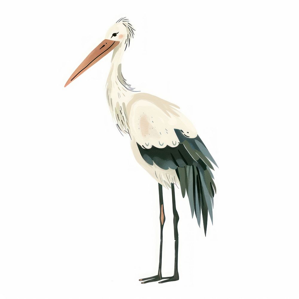Stork carrying stork waterfowl animal.