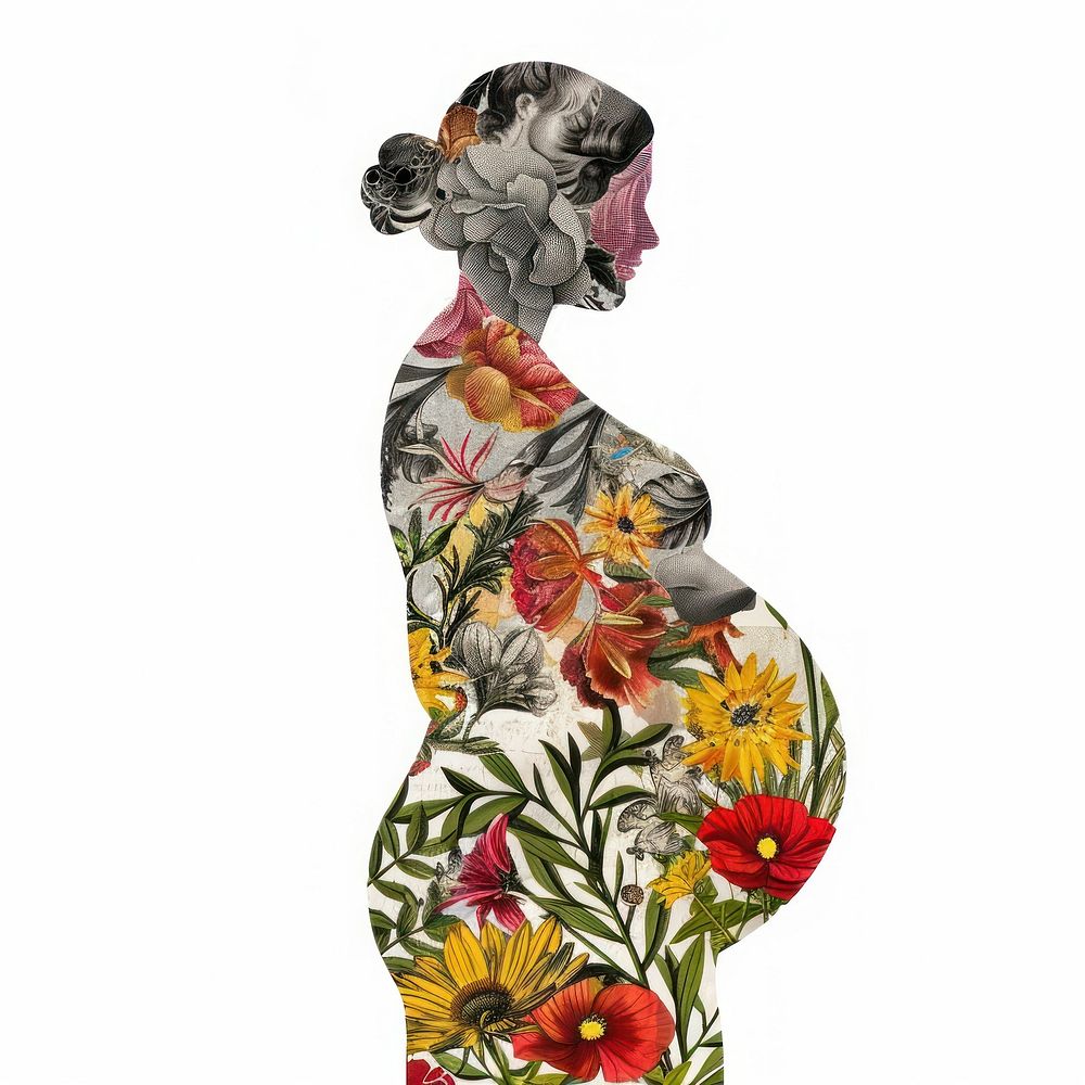 Paper collage pregnant shape flower art graphics.