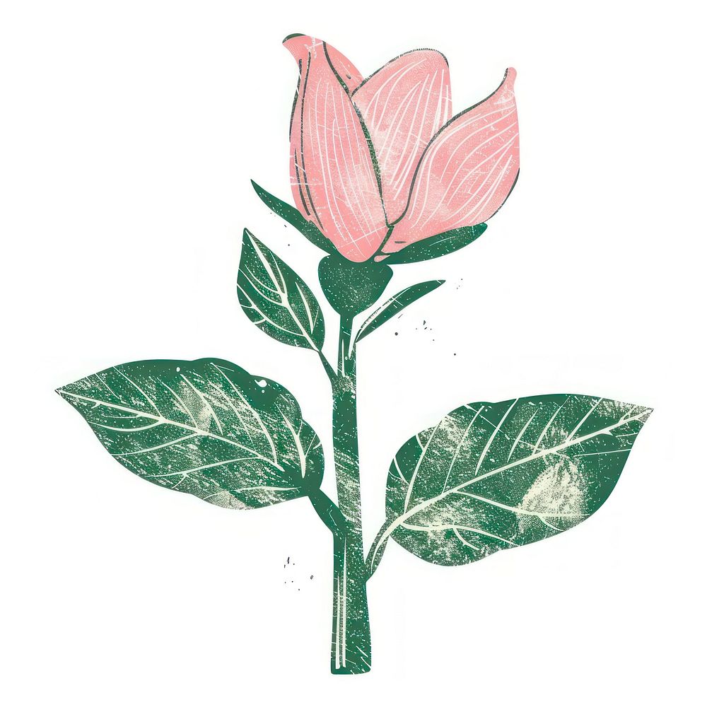 Pink flower green leaf illustrated blossom drawing.