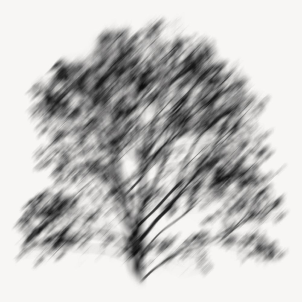 Tree shadow illustration