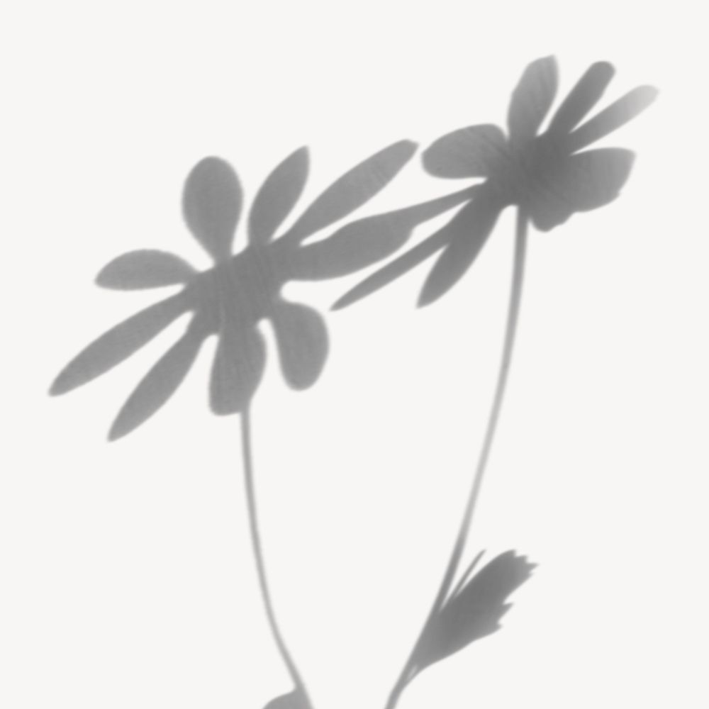 Flower shadow illustration | Free Photo - rawpixel