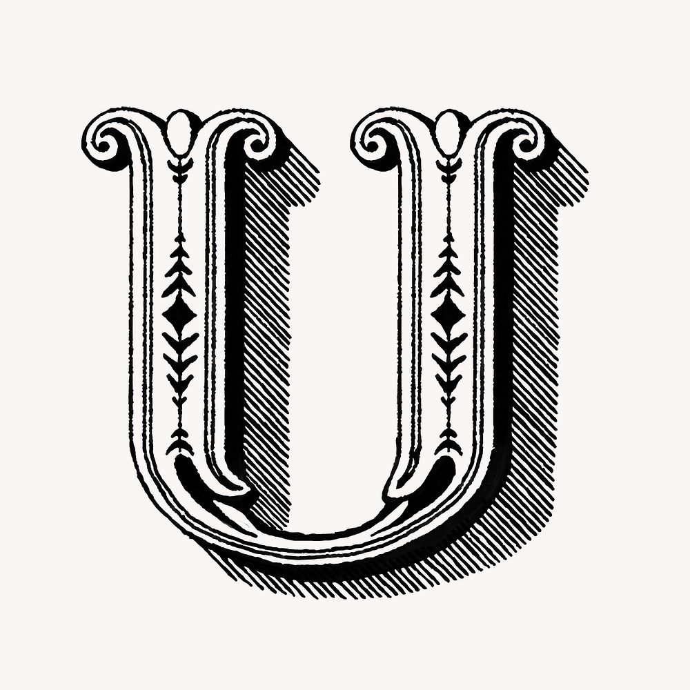 Letter U in classic medieval art illustration