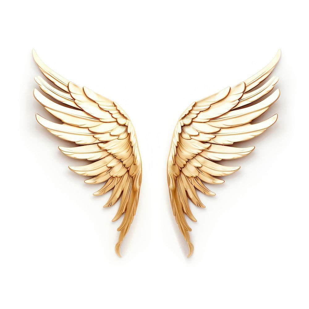 Brooch of wing accessories accessory jewelry.