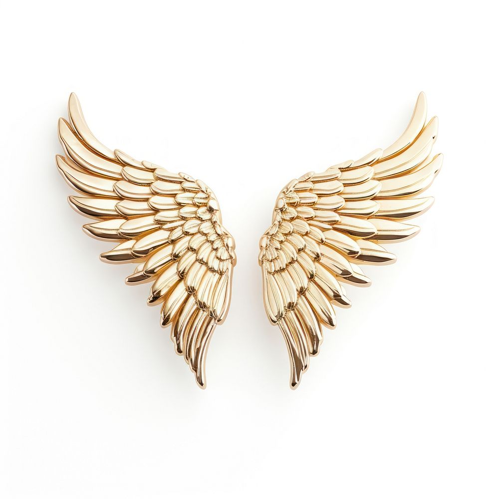 Brooch of wing accessories accessory necklace.