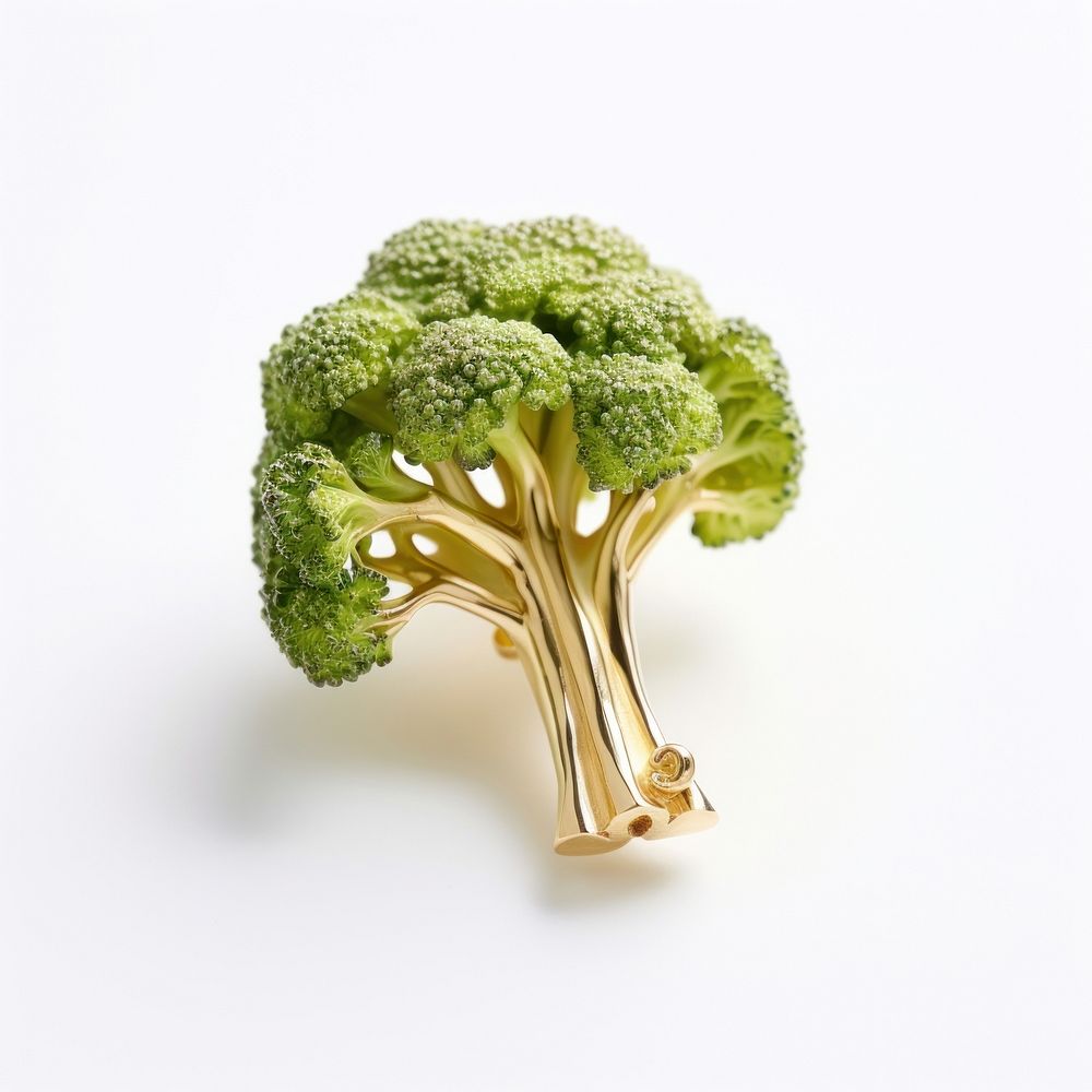 Brooch of broccoli vegetable produce plant.