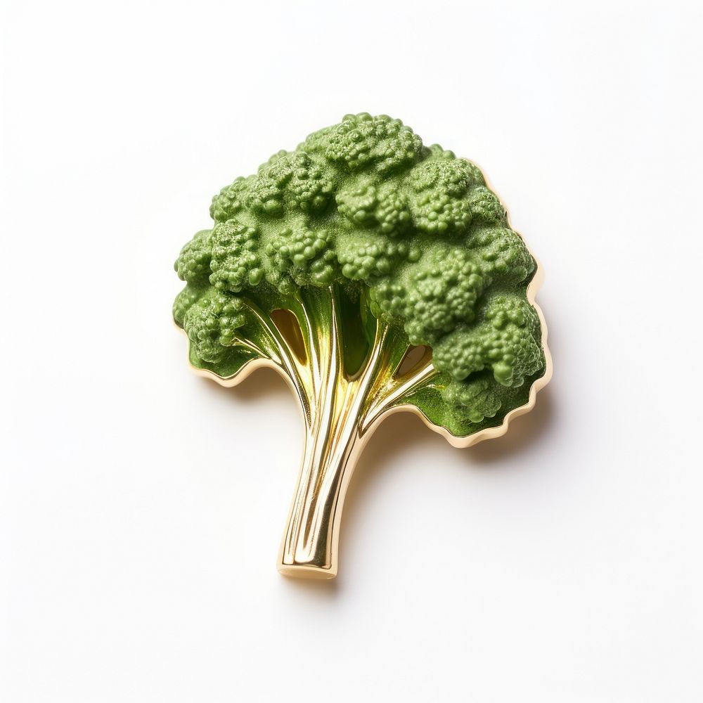 Brooch of broccoli vegetable produce plant.