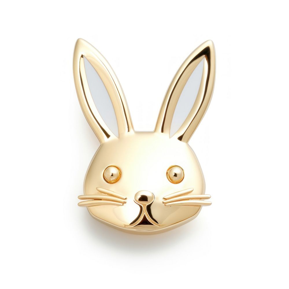 Brooch of bunny accessories accessory jewelry.