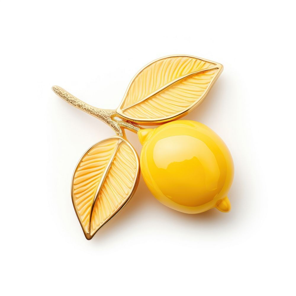Brooch of lemon accessories accessory appliance.