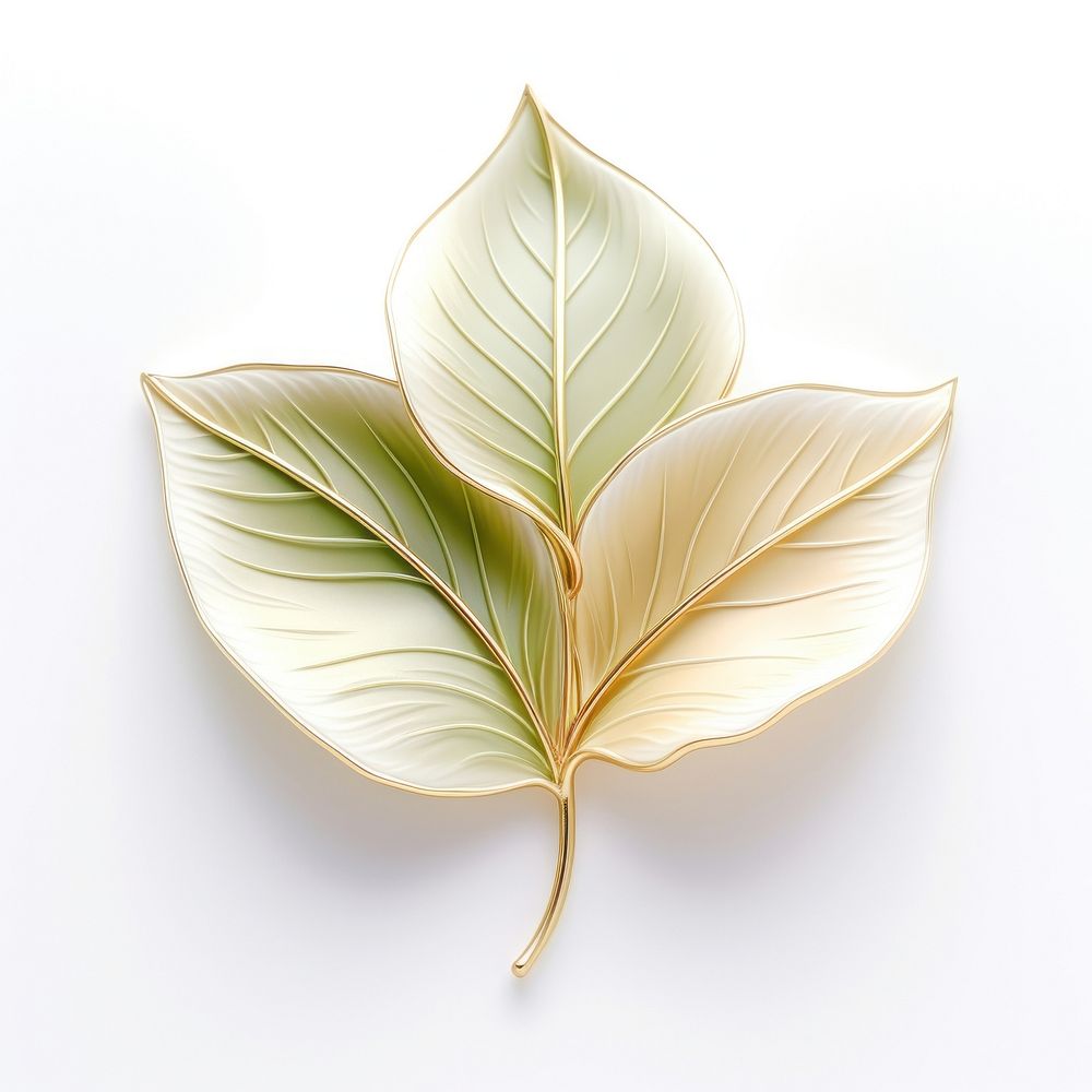Brooch of spring leaf accessories annonaceae accessory.