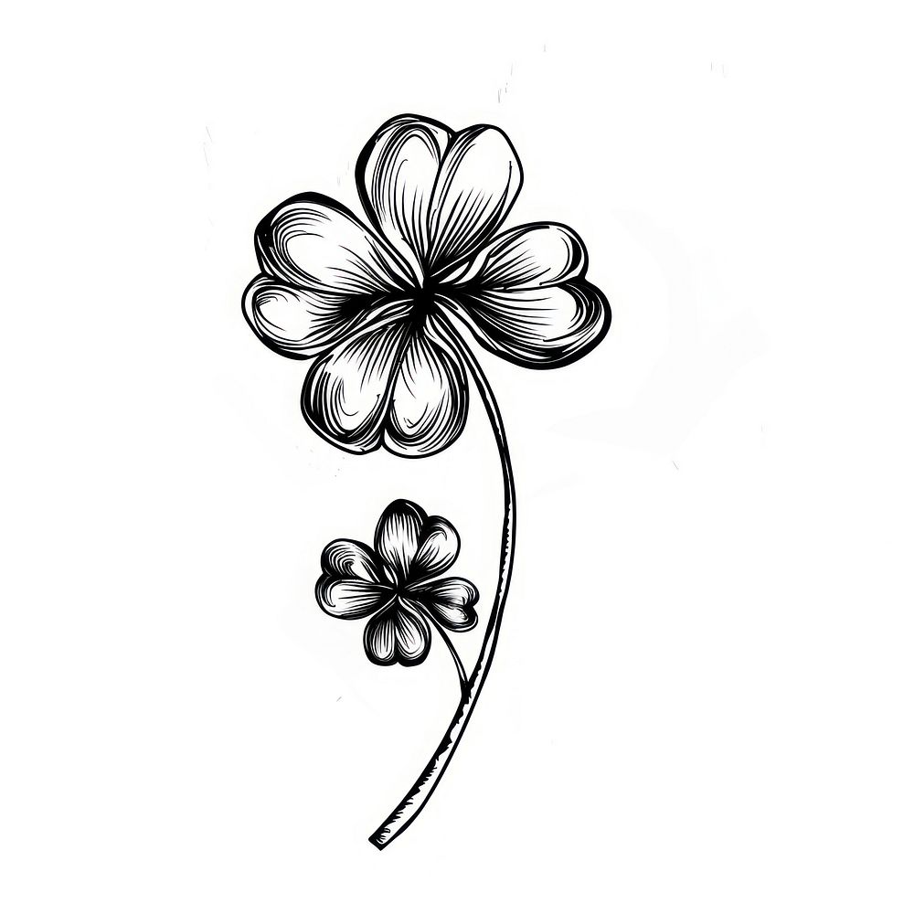 Clover tattoo flash illustration illustrated graphics pattern.