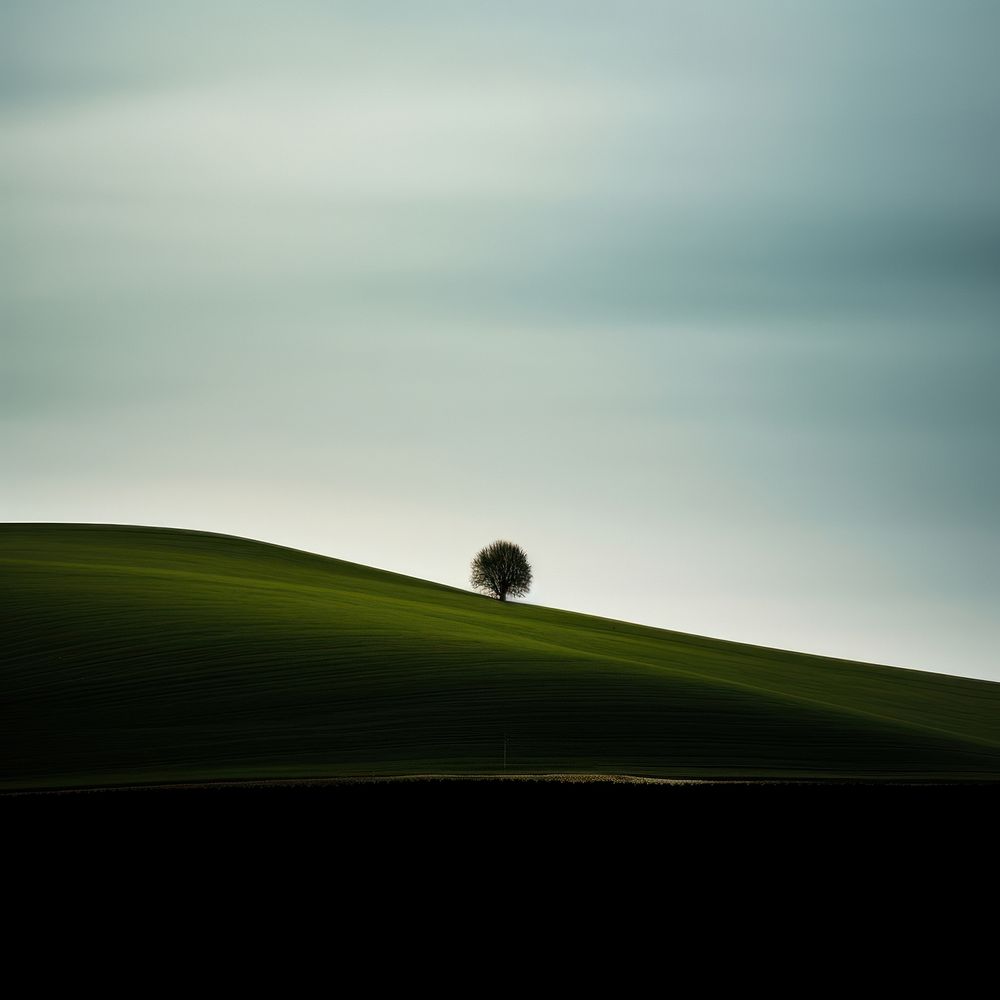 Photo of a Countryside countryside landscape grassland.