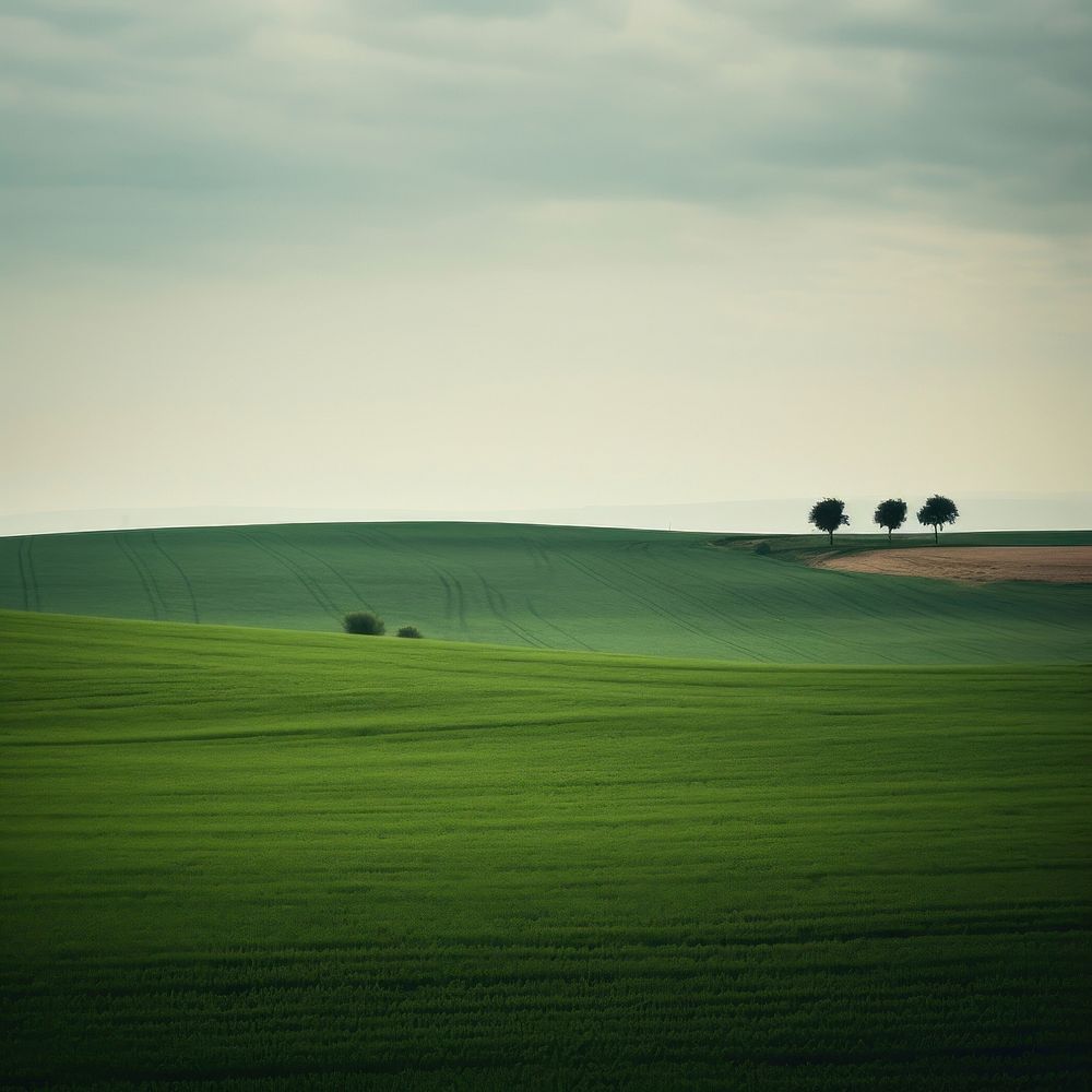 Photo of a Countryside countryside landscape outdoors.