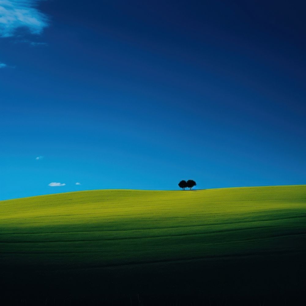 Photo of a heaven landscape grassland outdoors.
