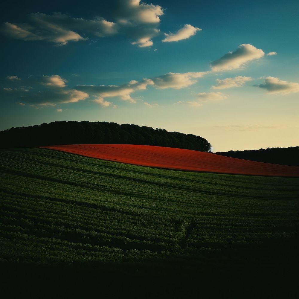 Photo of a Midsummer landscape agriculture countryside.