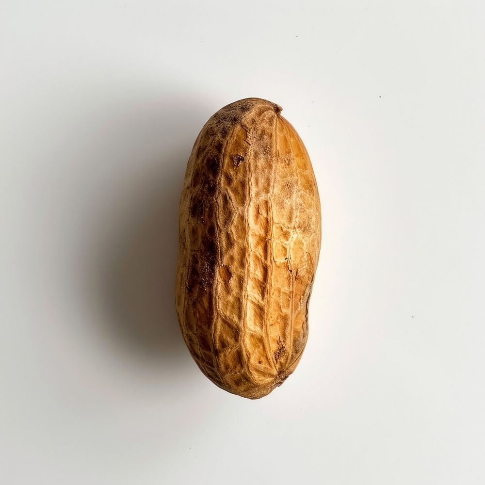 Photo of a single peanut invertebrate vegetable produce.