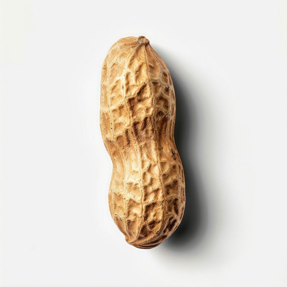 Photo of a single peanut invertebrate vegetable produce.