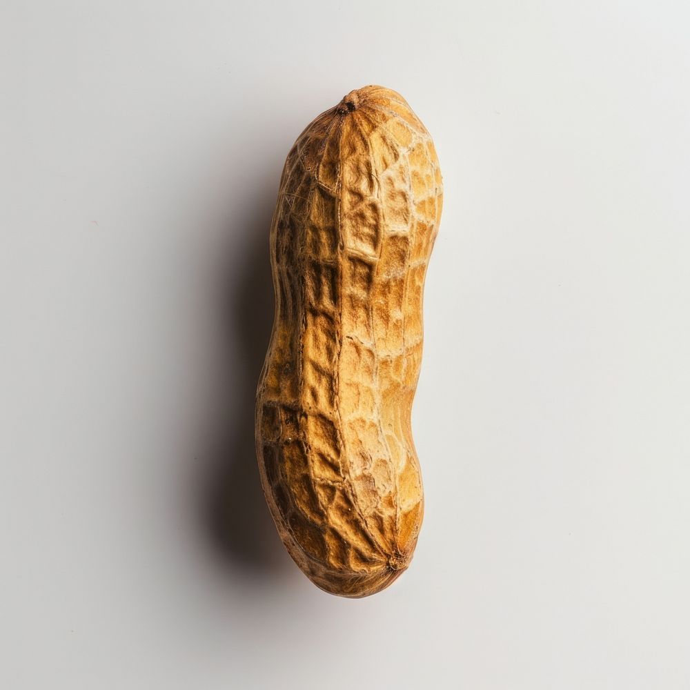 Photo of a single peanut ammunition vegetable weaponry.