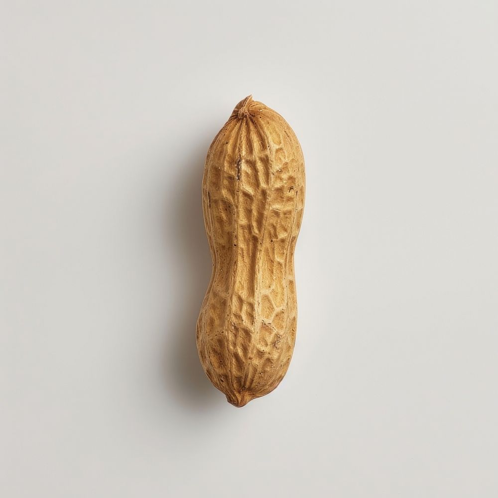 Photo of a single peanut ammunition vegetable weaponry.