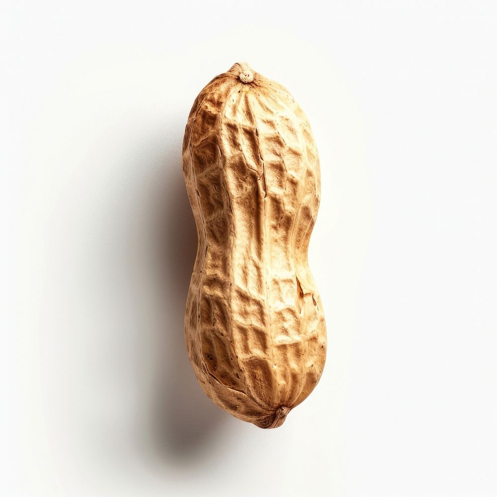 Photo of a single peanut vegetable produce plant.