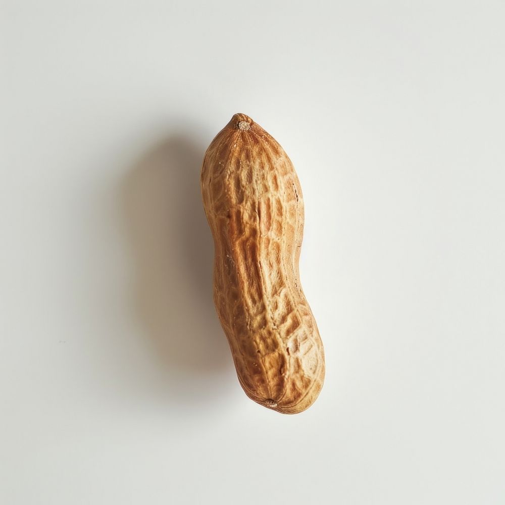 Photo of a single peanut vegetable produce plant.