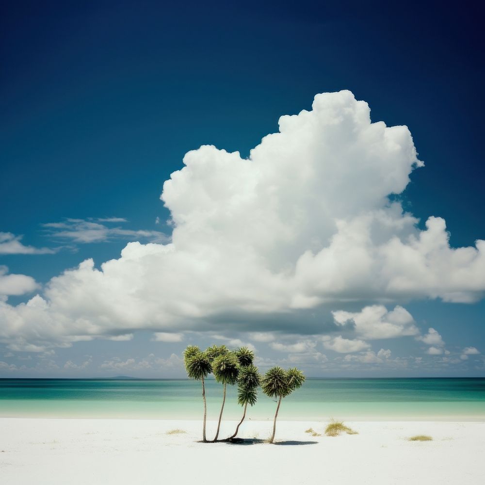 Tropical beach landscape cloud sky.