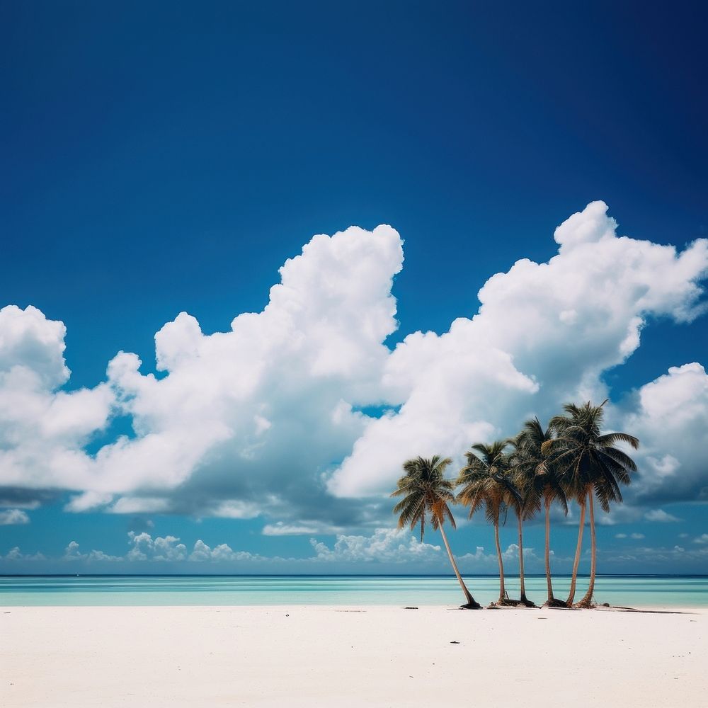 Tropical beach tropical cloud sky.