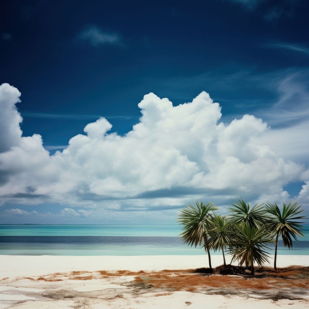 Tropical beach landscape tropical cloud.