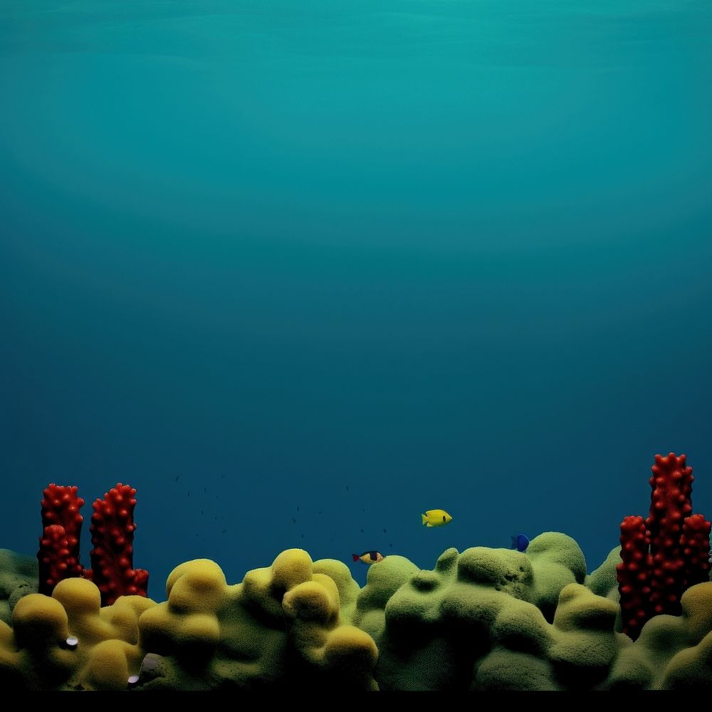 Photo of an under the sea invertebrate underwater outdoors.