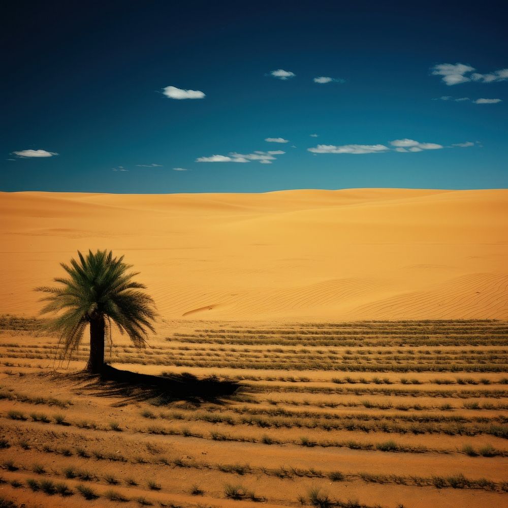 Photo of desert field landscape outdoors scenery.