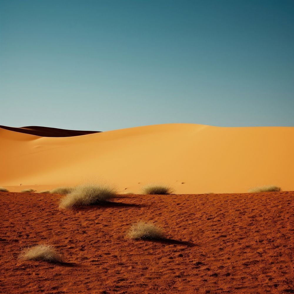 Photo of desert field outdoors horizon nature.