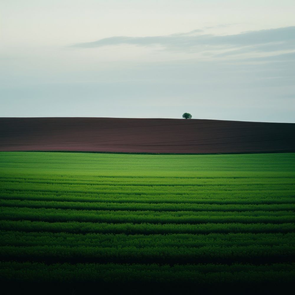 Photo of field land countryside outdoors.