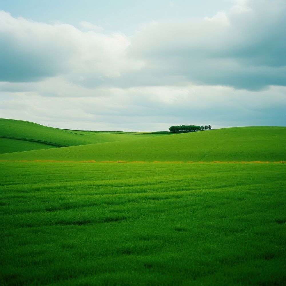 Photo of green field landscape countryside grassland.
