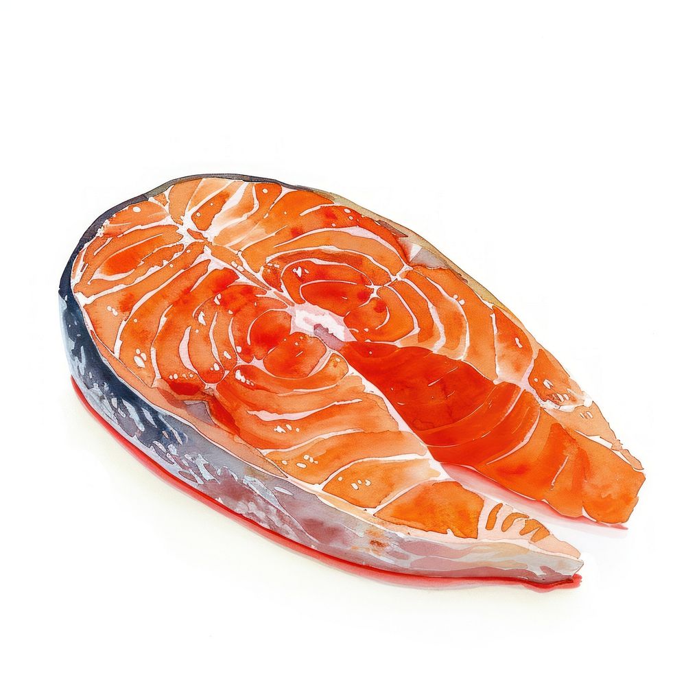 An isolated fresh raw salmon slice food illustration seafood.