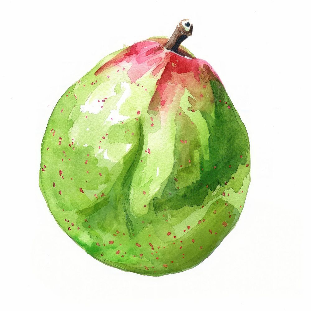 An isolated fresh guava illustration watercolor vibrant.