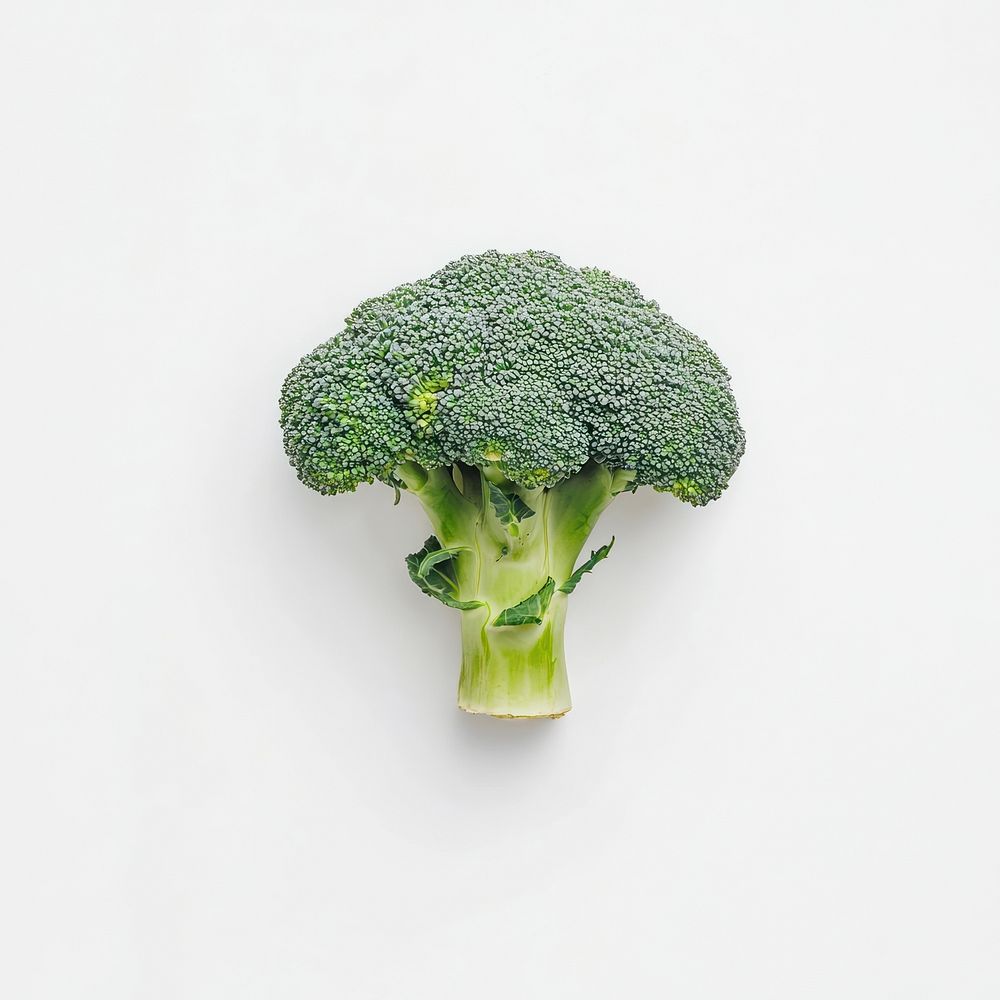 An isolated broccoli food vegetable cruciferous.