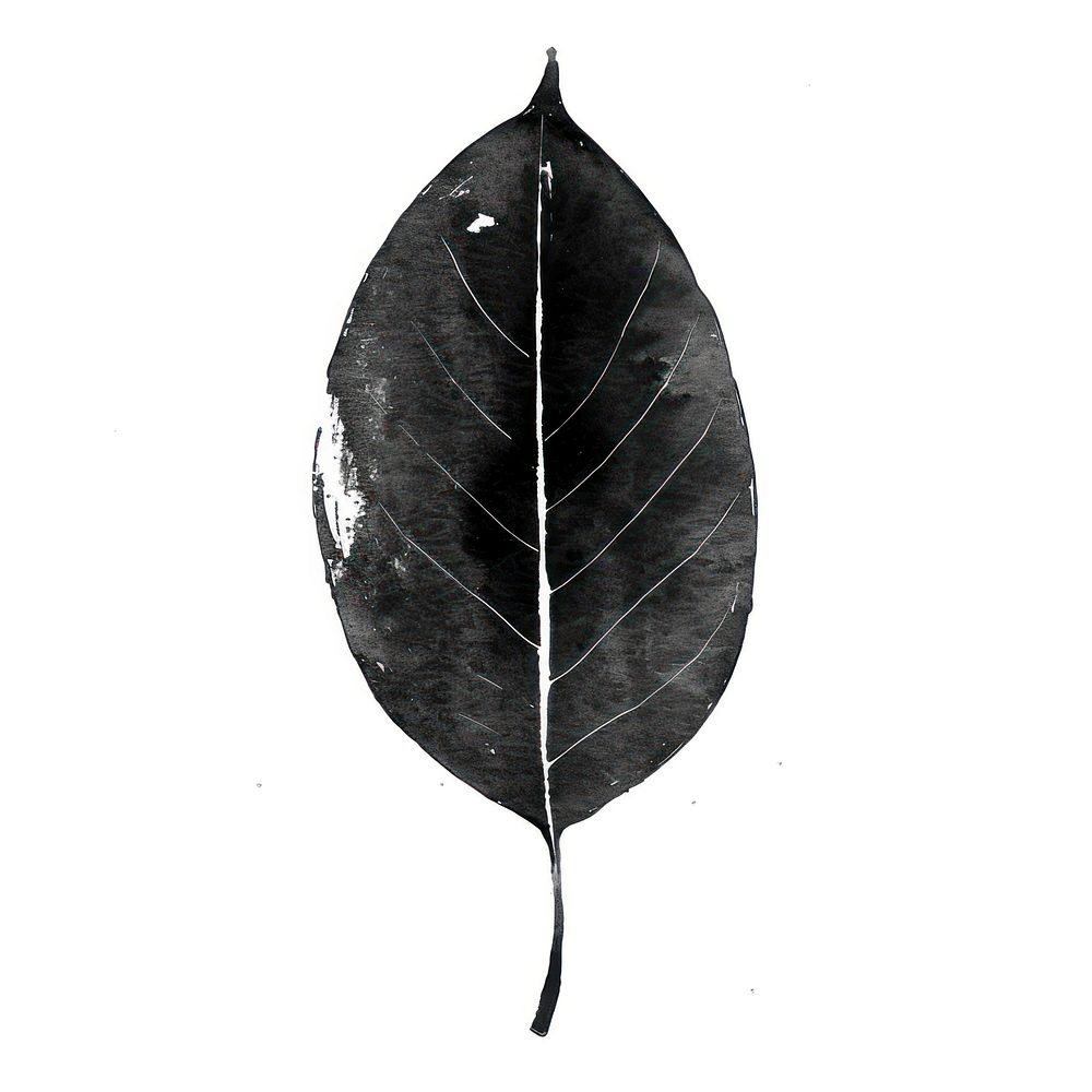 Cottonwood Leaf Leaf leaf black Free Photo Illustration rawpixel