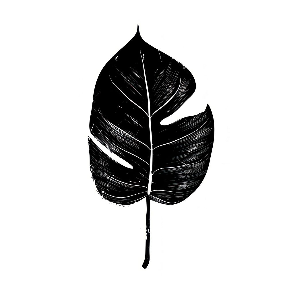 Philodendron leaf simple black white.