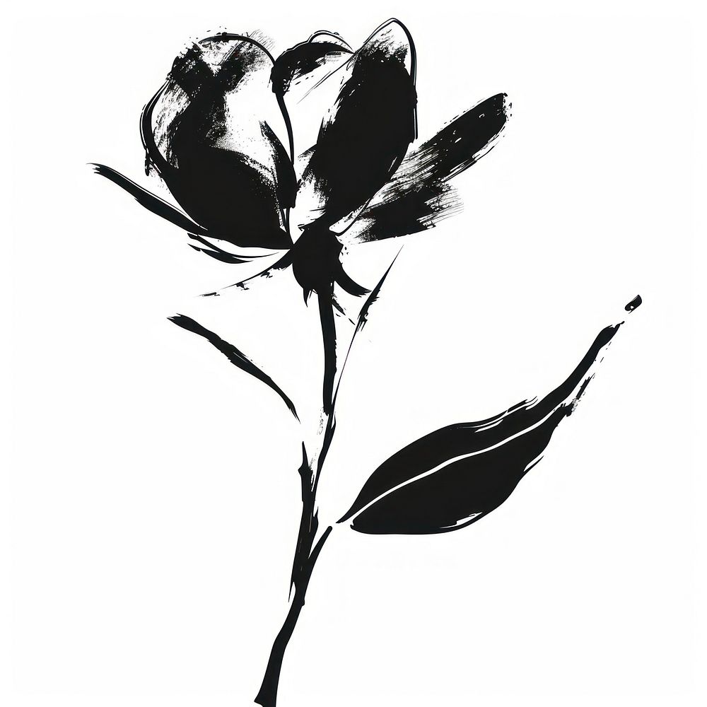 Rose flower illustration strokes black.