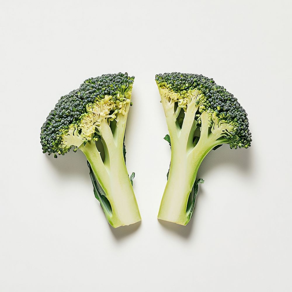 A real single piece of broccoli in half vegetable halves white.