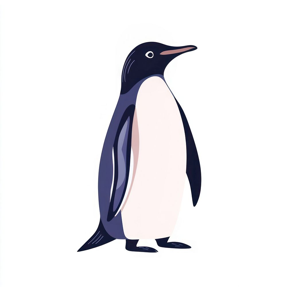 Penguin illustration animal vector.